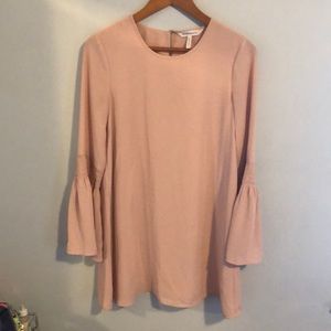 BCBG Pale Pink Shift Dress